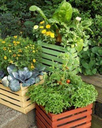 do-it-yourself garden in containers