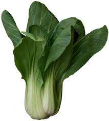 chinese cabbage